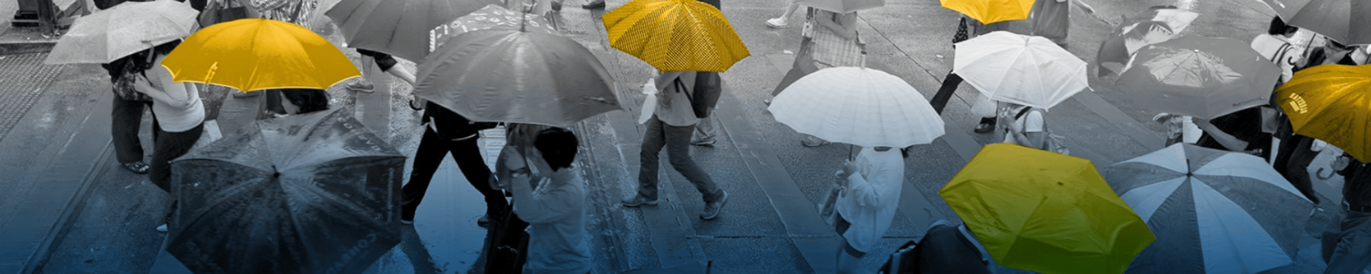 People holding umbrellas