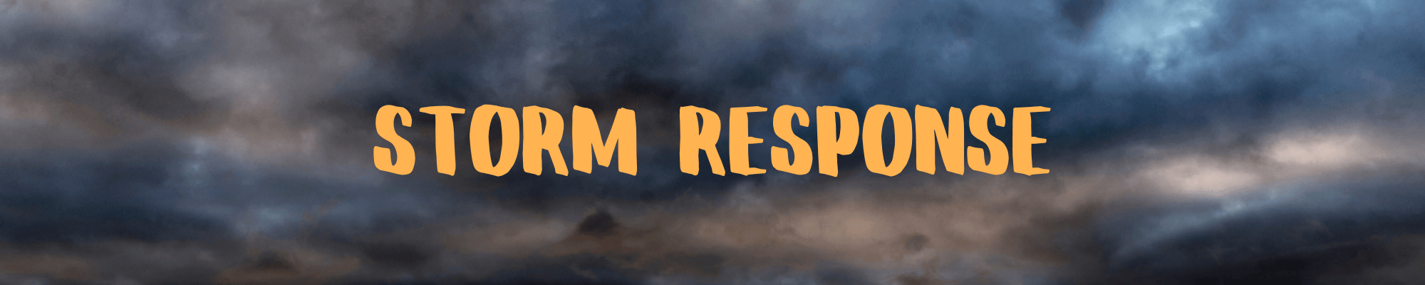 Storm Response logo